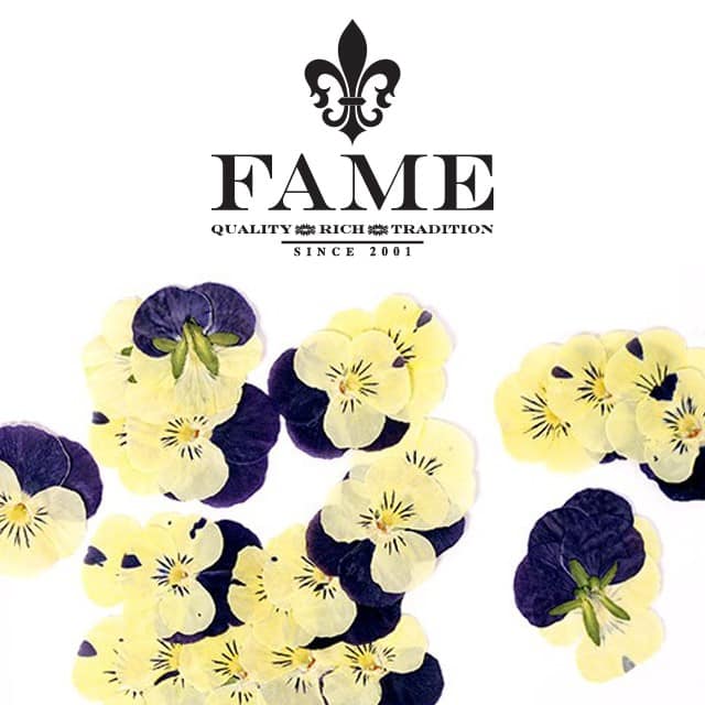 Dry flowers purple & yellow thought x 50pcs
