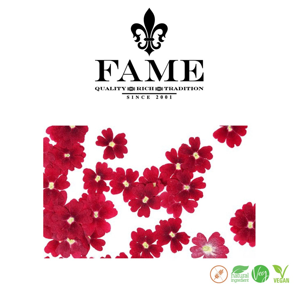 Dry Flowers Red Verbena x 50pcs